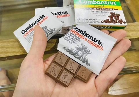 Thuốc tẩy giun Combantrin Pyrantel Chocolate Squares dạng viên socola.