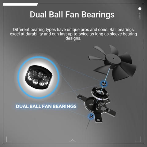 ASUS GeForce RTX™ 5060 LP BRK 8GB GDDR7 OC Edition RTX5060-O8G-LP-BRK Sức Mạnh GDDR7 Đặt Trong Thiết Kế Low Profile chiến game mạnh mẽ