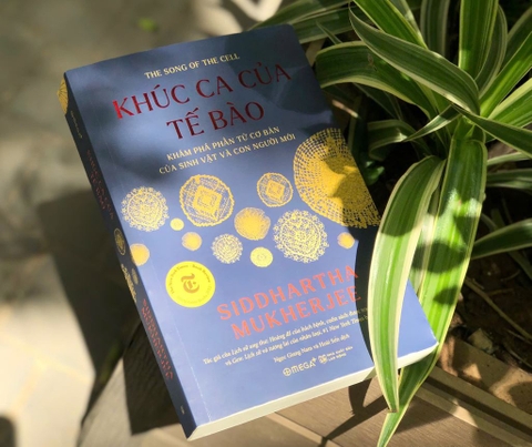 Khúc ca của tế bào - một bản nhạc có nốt cao, nốt thấp và cả những khoảng lặng.