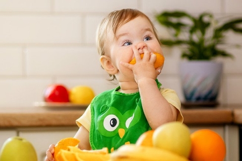 Top 6 loại trái cây cho bé ăn dặm giàu chất dinh dưỡng và dễ tiêu hóa