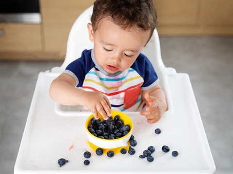 Việt Quất, Siêu Thực Phẩm Ăn Dặm Cho Bé