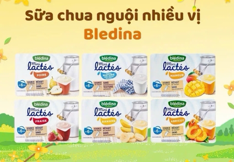 Sữa chua nguội bledina (lốc 6)