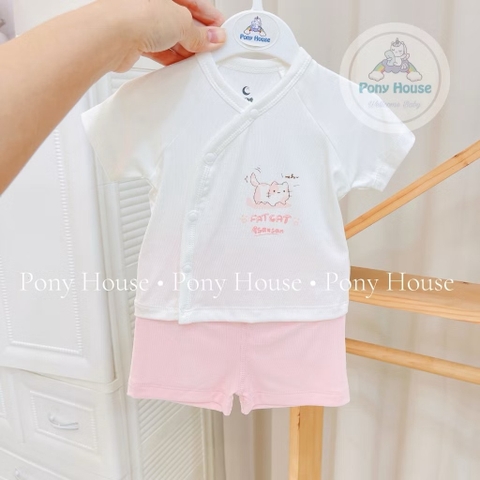 Bộ sơ sinh cộc tay Moon ( mèo, gấu, máy xúc, 0-6m)
