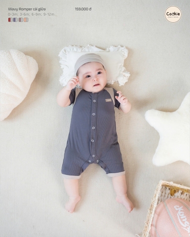 Body Cookie cài giữa ( xám, nâu, 0-12m)