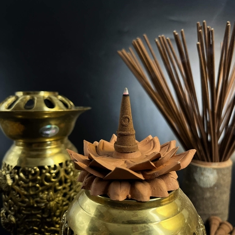 Hương Quế Chi Nụ