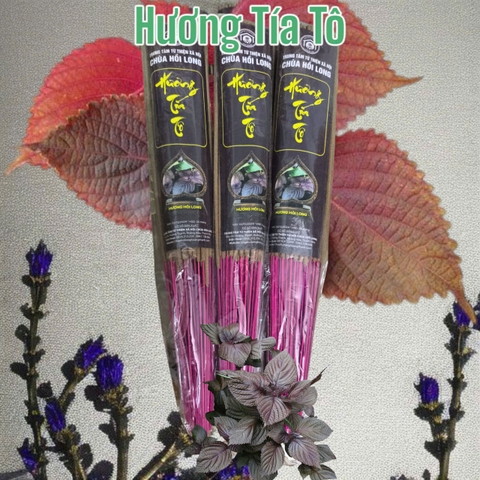 Hương Tía Tô