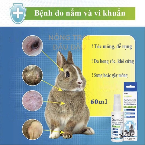 Nước Xịt Khử Khuẩn Cho Thỏ, Bọ, Chinchillla, Hamster Hiệu DrBunny 60ml