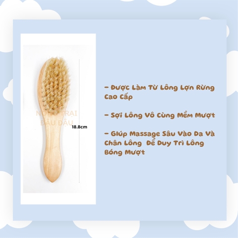 Lược Chải Lông Cho Thỏ, Bọ Ú, Chinchilla Cao Cấp Hiệu Jolly JP221