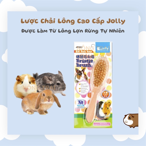 Lược Chải Lông Cho Thỏ, Bọ Ú, Chinchilla Cao Cấp Hiệu Jolly JP221