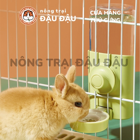 Bình Nước Cho Thỏ, Bọ Ú, Chinchilla Tự Động Cao Cấp 600ml