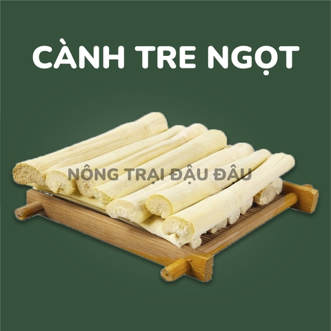 Cành Tre Cành Táo Mài Răng Cho Thỏ, Bọ Ú, Hamster, Chinchilla 50g