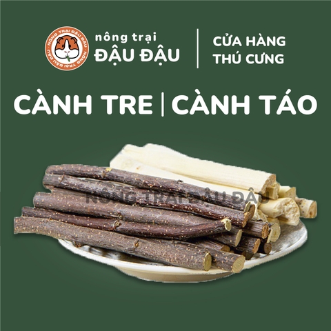 Cành Tre Cành Táo Mài Răng Cho Thỏ, Bọ Ú, Hamster, Chinchilla 50g
