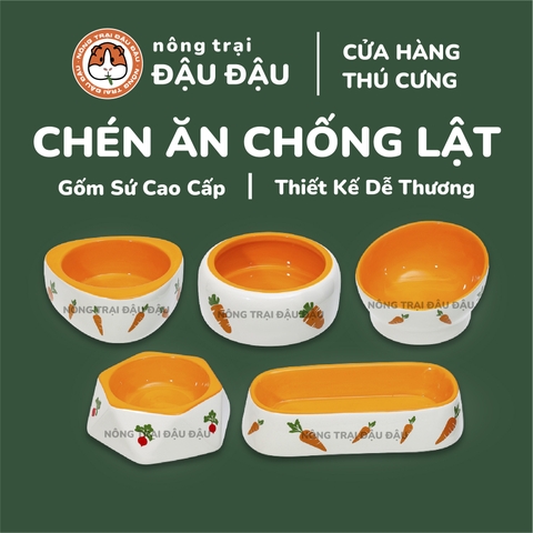 Chén Ăn Sứ Cao Cấp Cho Thỏ, Bọ Ú, Chinchilla, Hamster Chống Lật