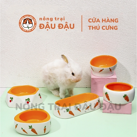 Chén Ăn Sứ Cao Cấp Cho Thỏ, Bọ Ú, Chinchilla, Hamster Chống Lật