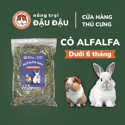 Cỏ Alfalfa Cho Thỏ, Bọ Ú, Chinchilla 1kg