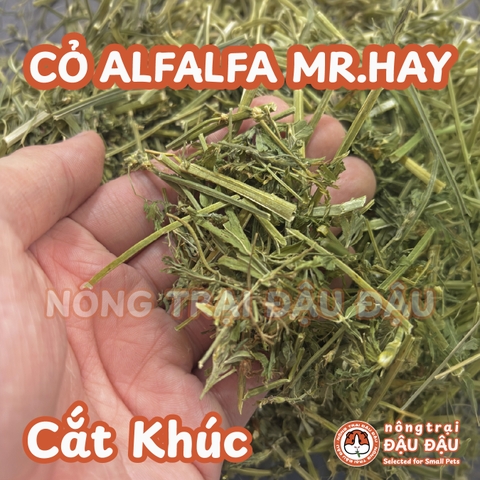 Cỏ Mr.Hay Cắt Khúc