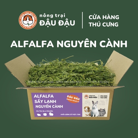 Cỏ Alfalfa Sấy Lạnh - Đậu Đậu Fresh Select