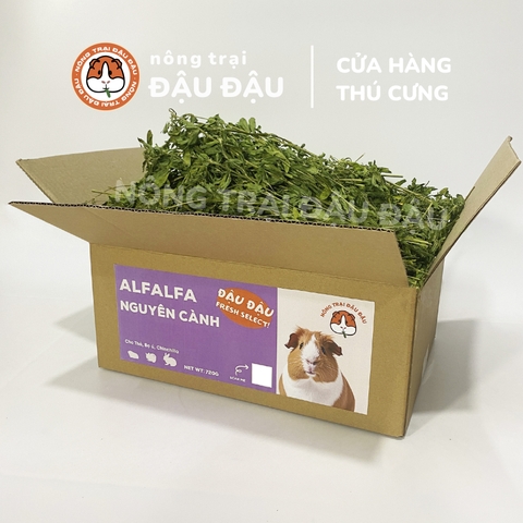 Cỏ Alfalfa Sấy Lạnh - Đậu Đậu Fresh Select
