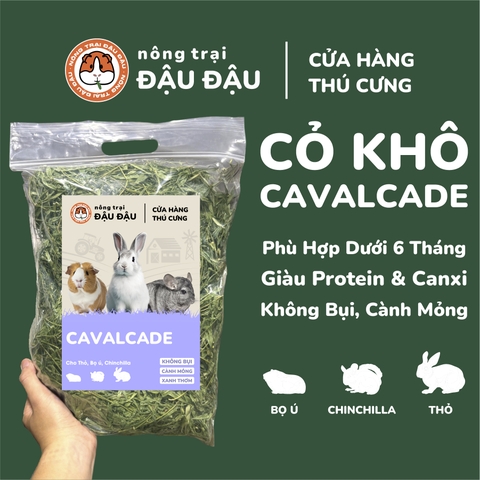 Cỏ Cavalcade Cho Thỏ, Bọ Ú, Chinchilla Dinh Dưỡng Nhiều Lá