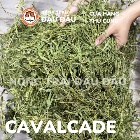 Cỏ Cavalcade Cho Thỏ, Bọ Ú, Chinchilla Dinh Dưỡng Nhiều Lá
