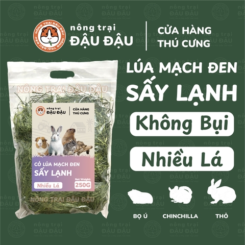 Cỏ Lúa Mạch Đen Cho Thỏ, Bọ Ú, Chinchilla Ăn Vặt Thơm Ngon 250g