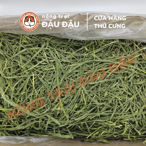 Cỏ Lúa Mì