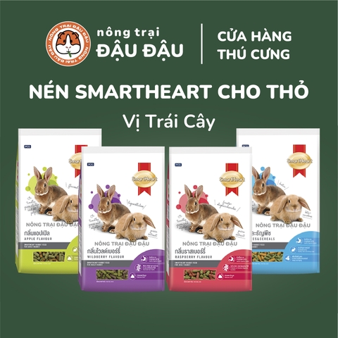 Cỏ Nén Cho Thỏ Trái Cây Smart Heart Giàu Vitamin Dinh Dưỡng Toàn Diện 500g 1kg