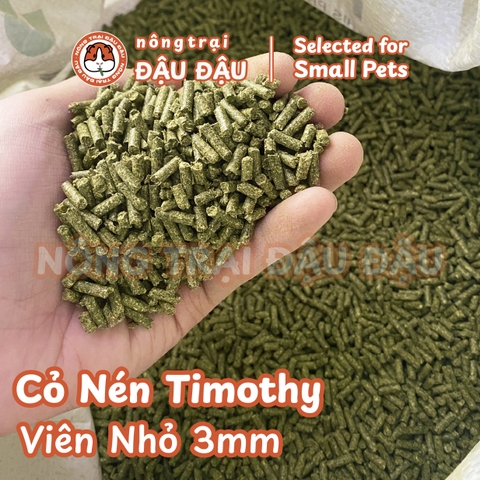 Cỏ Viên Timothy - Hạt Nhỏ 3mm