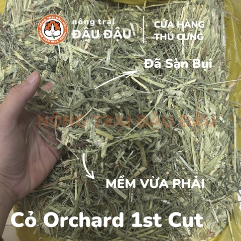 Cỏ Orchard 1st Cut