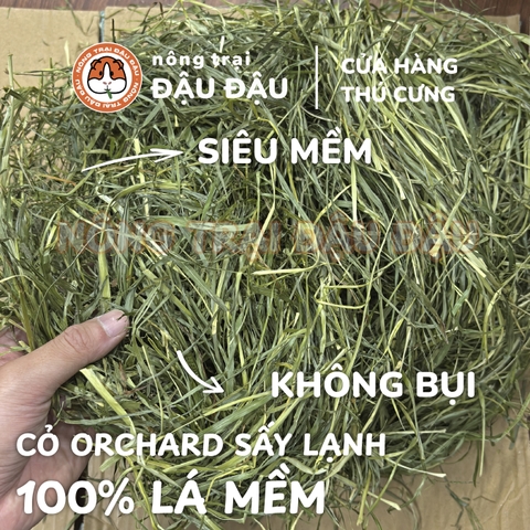 Cỏ Orchard Sấy Lạnh Cho Thỏ, Bọ Ú, Chinchilla, Rùa Cạn, Sóc Bắc Mỹ Full Lá Siêu Mềm 500g