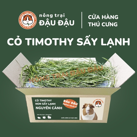 Cỏ Timothy Sấy Lạnh Cho Thỏ, Bọ Ú, Chinchilla Nguyên Cành Siêu Xanh Lá Mềm 480g 980g