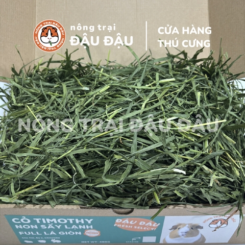 Cỏ Timothy Sấy Lạnh Full Lá Giòn Premium Siêu Xanh Cho Thỏ, Bọ Ú, Chinchilla 500g