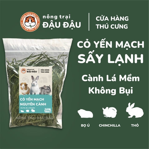 Cỏ Yến Mạch - Đậu Đậu Fresh Select
