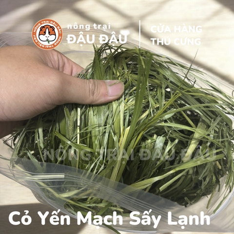 Cỏ Yến Mạch - Đậu Đậu Fresh Select