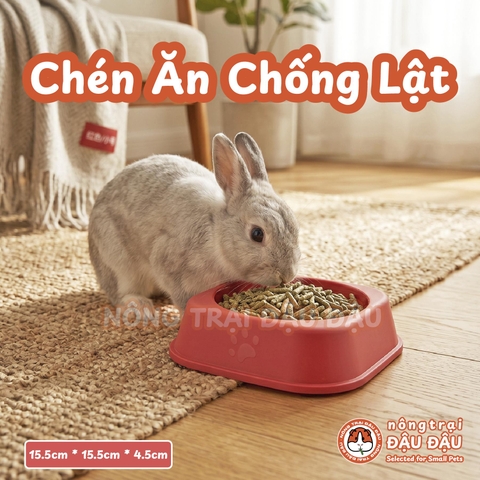 Chén Ăn Chống Lật Cho Thỏ, Bọ Ú, Chinchilla, Chó, Mèo