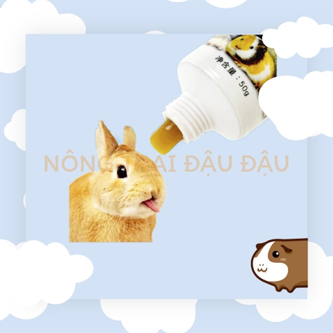 Gel dinh dưỡng Dr.Bunny hỗ trợ đường ruột và giúp đẹp lông cho Thỏ, Bọ Ú, Chinchila, Hamster 50g