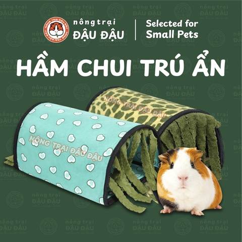 Hầm Trú Ẩn Cho Bọ Ú Chuột Lang Có Rèm Che