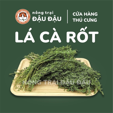 Lá Cà Rốt Cho Thỏ, Bọ Ú, Chinchilla Giàu Vitamin 50g 250g