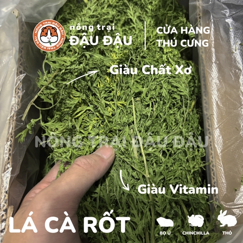 Lá Cà Rốt Cho Thỏ, Bọ Ú, Chinchilla Giàu Vitamin 50g 250g