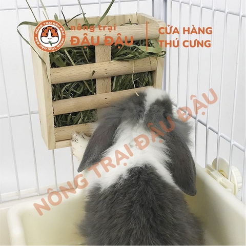 Máng Cỏ Gỗ Cho Thỏ, Bọ Ú, Chinchilla Gắn Chuồng