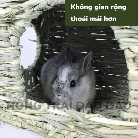 Nhà Cỏ Trú Ẩn Cho Bọ Ú, Thỏ, Chinchilla 2 Cửa