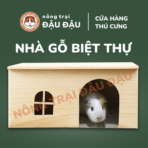 Nhà Gỗ Cho Bọ Ú Chuột Lang Làm Từ Gỗ Thông Tự Nhiên