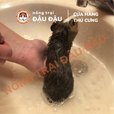 Sữa Tắm Cho Bọ Ú, Thó Nhỏ Hiệu Kerry Chống Rụng Lông, Mượt Lông, Dưỡng Ẩm 100ml