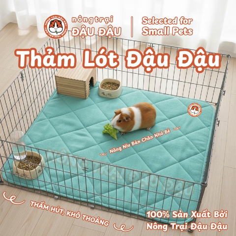 Thảm Pee Pads Đậu Đậu
