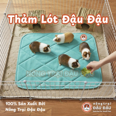 Thảm Pee Pads Đậu Đậu
