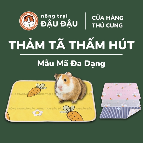 Thảm Tã Thấm Hút Lót Chuồng Cho Thỏ, Bọ Ú (Chuột Lang) Pee Pads