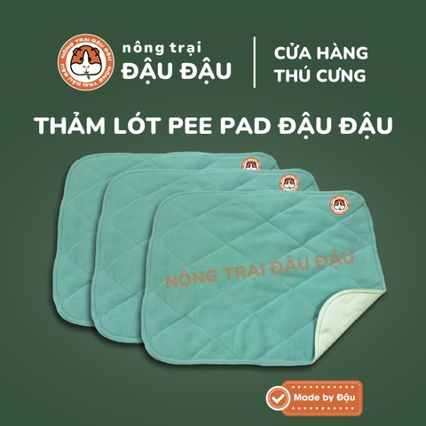 Thảm Thấm Hút Lót Chuồng Cho Thỏ, Bọ Ú (Chuột Lang) Đậu Đậu Pee Pads