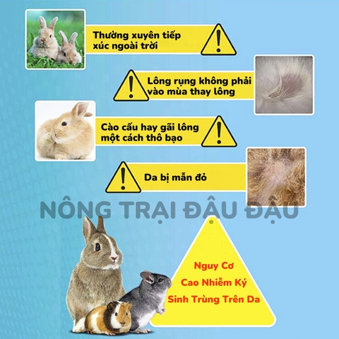 Thuốc Diệt Ve Rận, Bọ Chét, Mạt Cho Thỏ, Bọ Ú, Chinchilla Hiệu DrBunny Tuýp 0.75ml