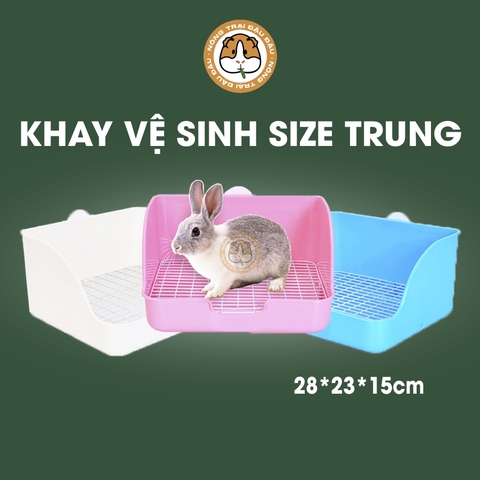 Khay Vệ Sinh Cho Thỏ, Bọ Ú, Chinchilla Size Trung