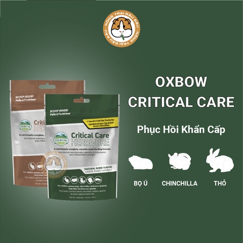 Oxbow Critical Care Bột Cỏ Phục Hồi Khẩn Cấp Cho Thỏ, Bọ Ú, Chinchilla, Rùa Cạn, Bò Sát